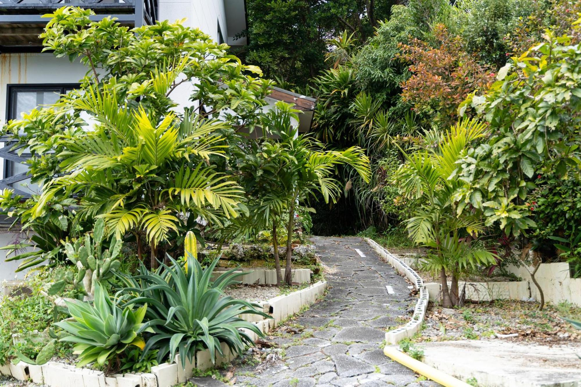 Mambo Hostel Okinawa Motobu Eksteriør billede